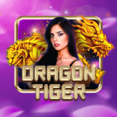 Dragon Tiger at table game 5 casino